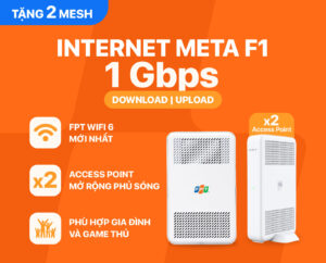 lắp mạng wifi FPT gói Meta F1 tại Bình Sơn